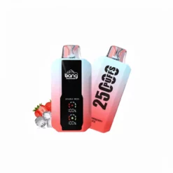 Bang 25000 Mesh Coil 25k Puffs Disposable Vape
