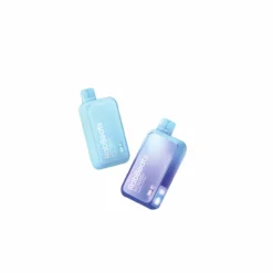 RabBeats RC10000 Mesh Coil Disposable Vape - 10000 Puffs