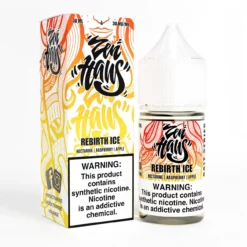 Rebirth ICE by ZEN HAUS SALTS Nicotine Salt E-Liquid 30ml