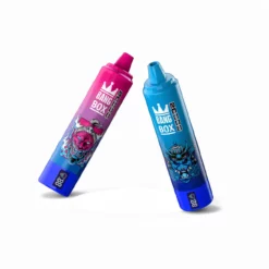 Bang Box 20K Mesh Coil Disposable Vape